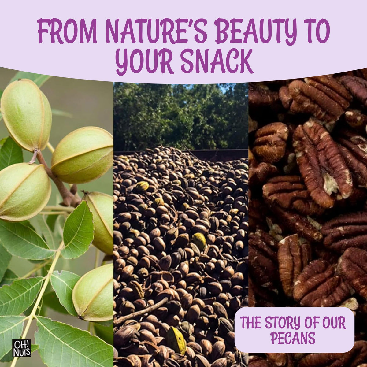 Oh! Nuts kosher label on packaging signals quality and care.