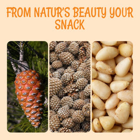 Oh! Nuts pine nuts resealable bag easy storage and freshness.