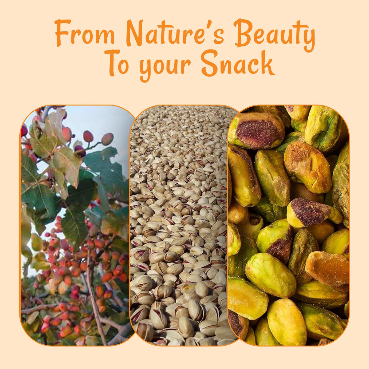 Oh! Nuts pistachios from California offer a raw, natural snack option.