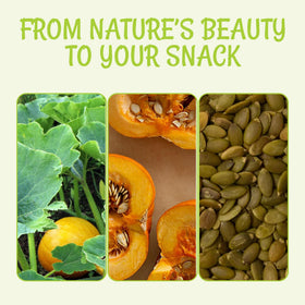 Oh! Nuts pumpkin seeds no-shell pepitas ready for snacking.