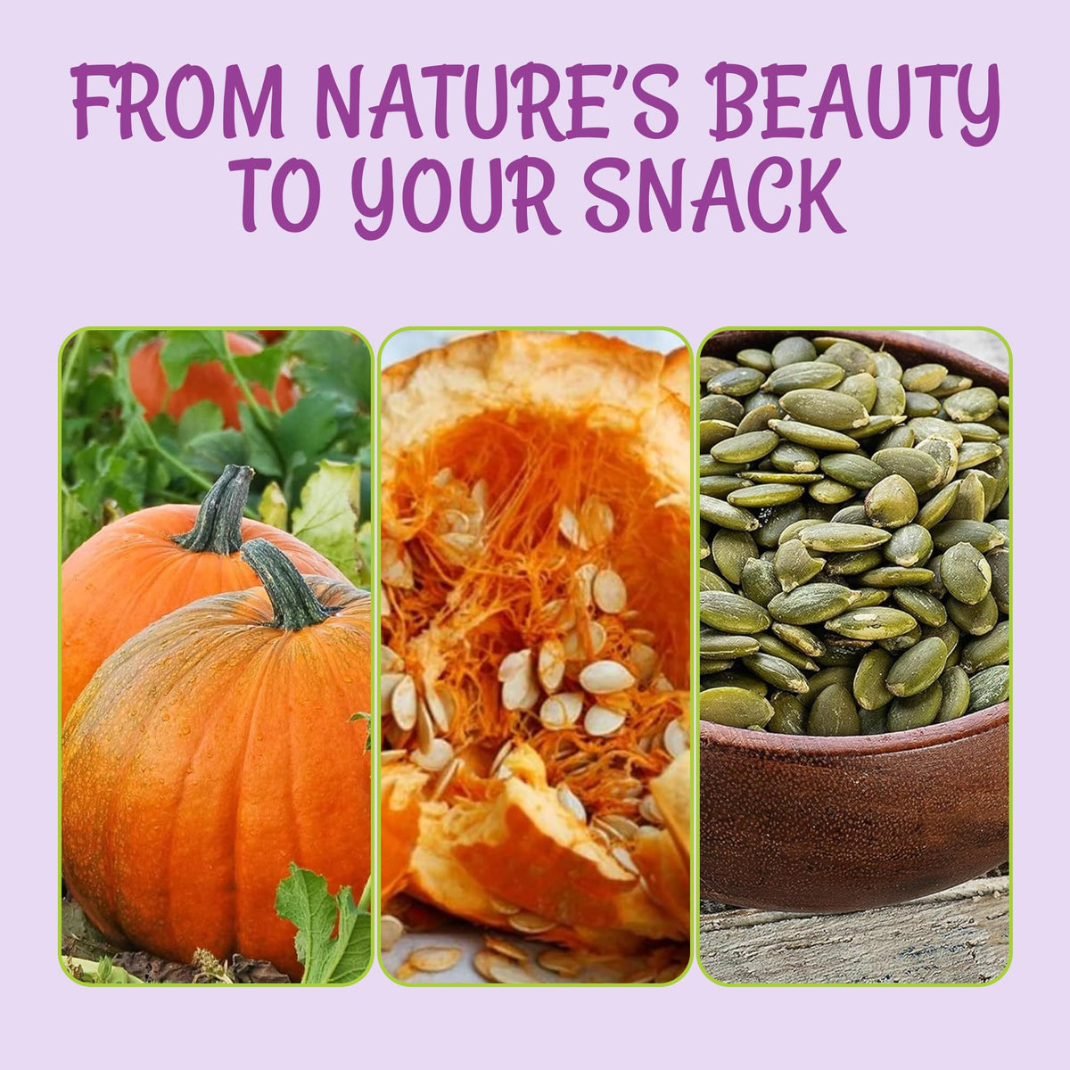 Oh! Nuts pumpkin seeds in trail mix boost texture and fiber.
