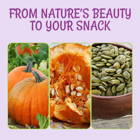 Oh! Nuts pumpkin seeds in trail mix boost texture and fiber.