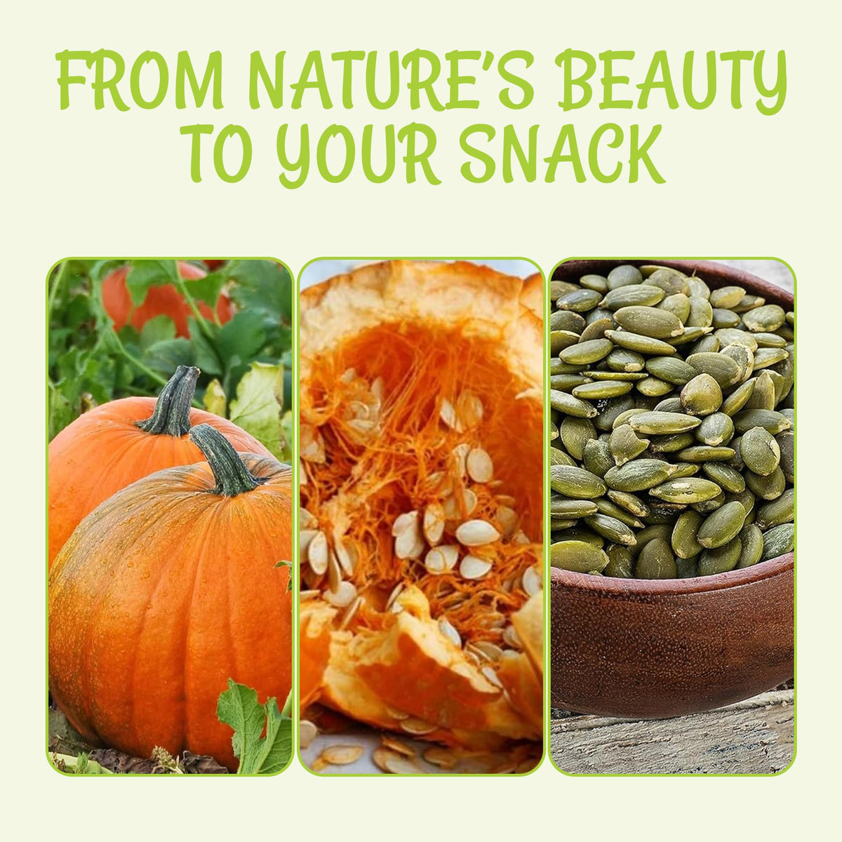 Oh! Nuts pepitas presented as a vegan-friendly snack
