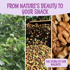 Oh! Nuts Walnuts omega3-rich — omega-3 rich nuts support balanced daily nutrition.