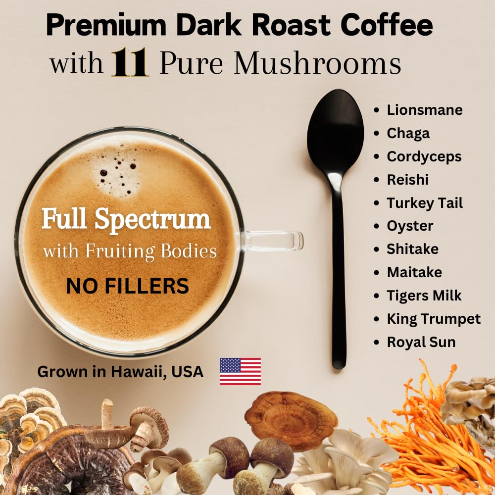 OhmYes 1111 mushroom blend ingredients graphic emphasizes diverse mushrooms.