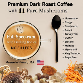 OhmYes 1111 mushroom blend ingredients graphic emphasizes diverse mushrooms.
