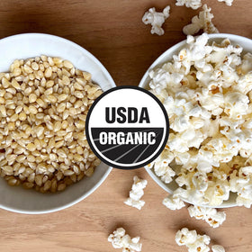 Closeup of Olde World Popcorn kernel showing quality and texture