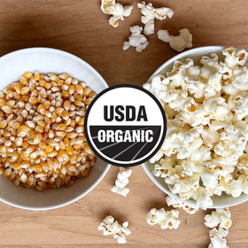 Olde World Popcorn Wisconsin regenerative farm landscape for sustainable harvest