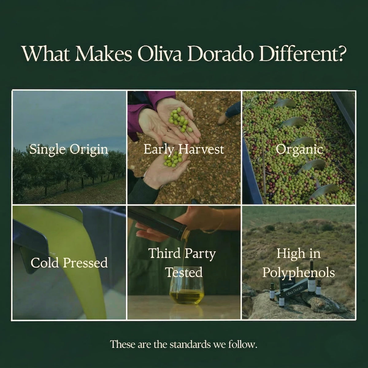 Oliva Dorado organic label highlights purity and traceability.