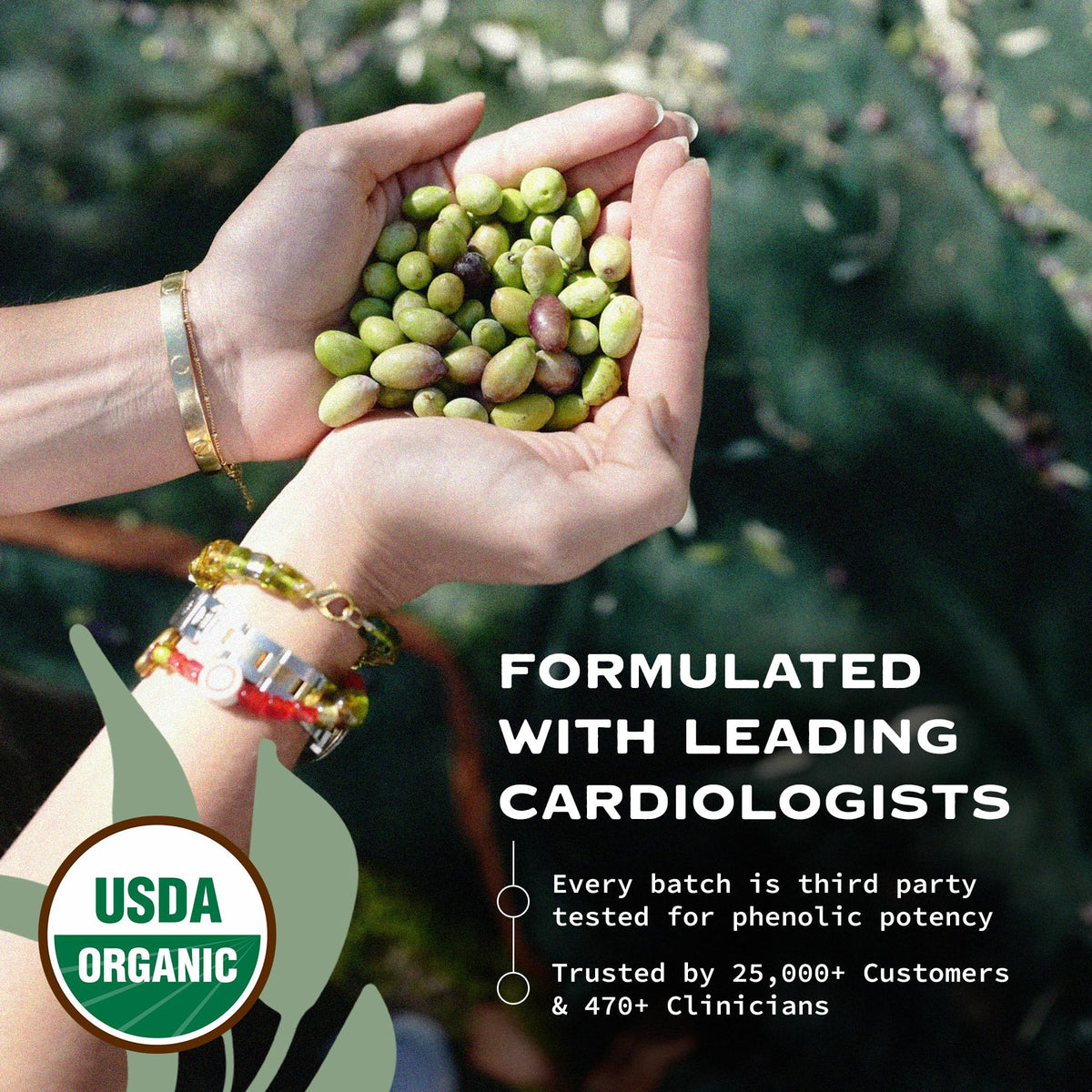 Olivea organic certifications logos with bottle conveying pure, additive-free oil.