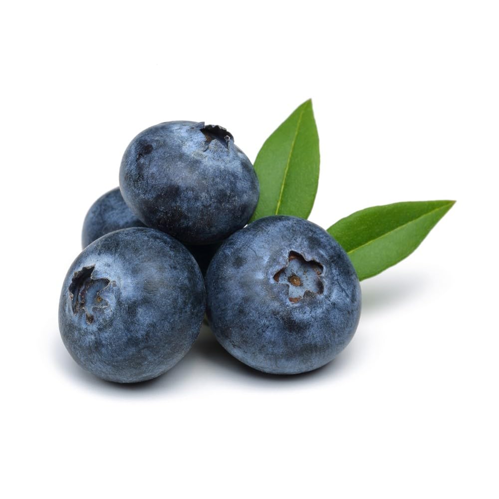 OLIVENATION blueberry extract for muffins and pies boosts flavor without added sugars