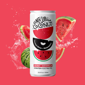 Once Upon A Coconut watermelon and coconut slice photo