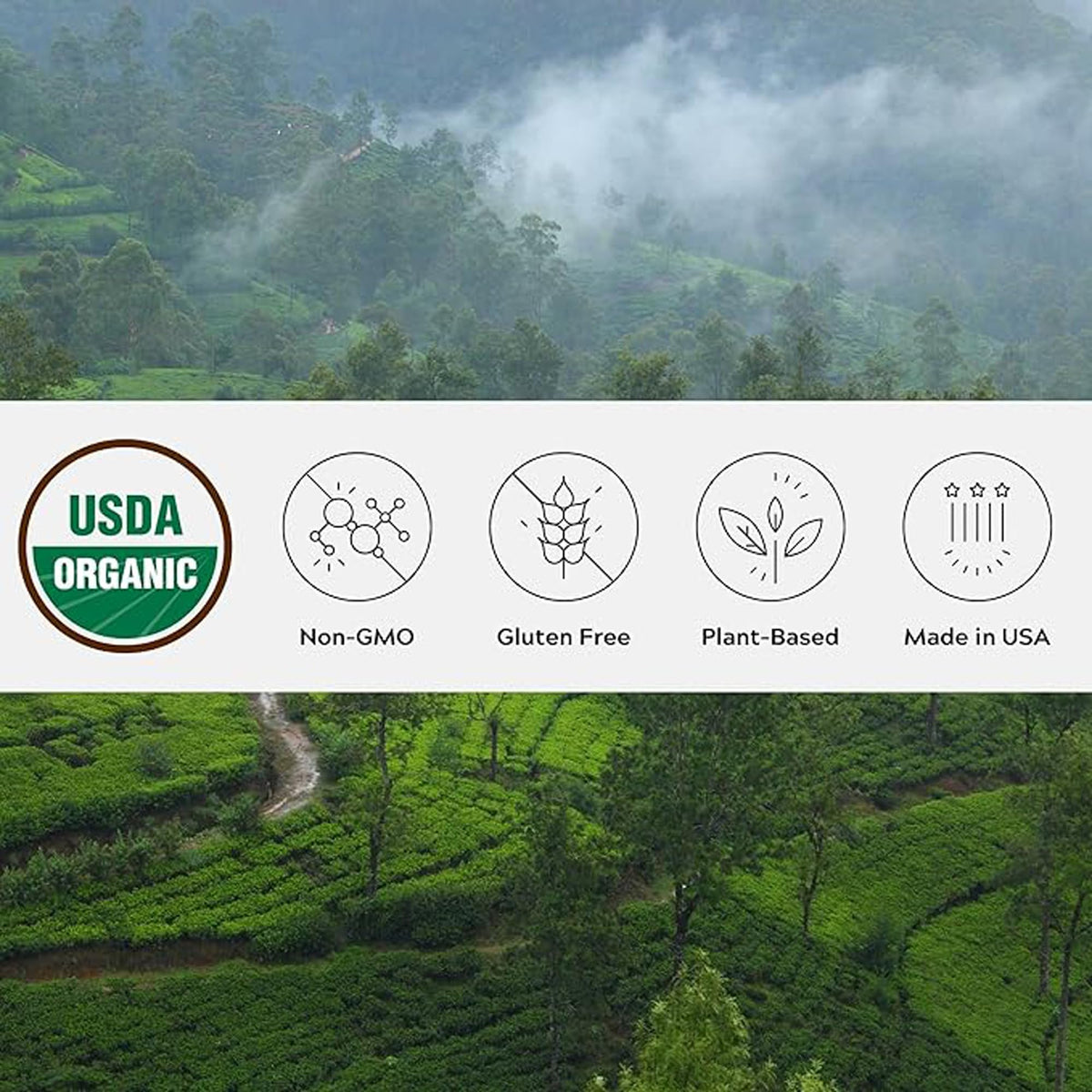 One Farm by WAAYB single estate cinnamon from Sri Lanka with authentic aroma