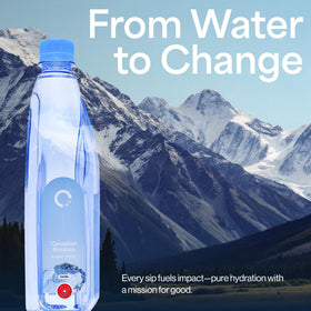 ONE Water 500ml pack of 20 for easy travel and sharing