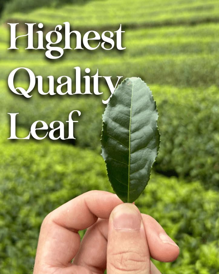 ONE WITH TEA Nutty Genmaicha aroma enhances mindful tea time.