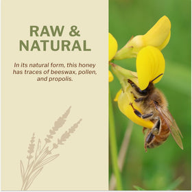 OneRoot Canadian wildflower fields evoke authentic nectar sources.