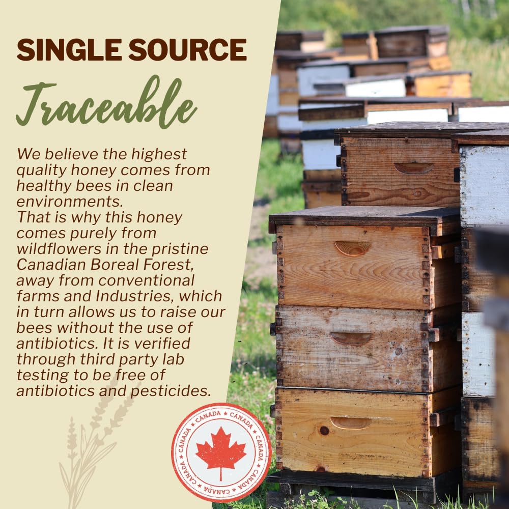 OneRoot Canadian wildflower honey bottle highlights authentic nectar from fields.