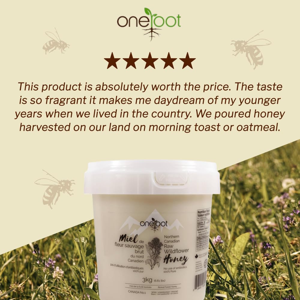 OneRoot creamy honey on pancakes emphasizes rich texture and sweetness.