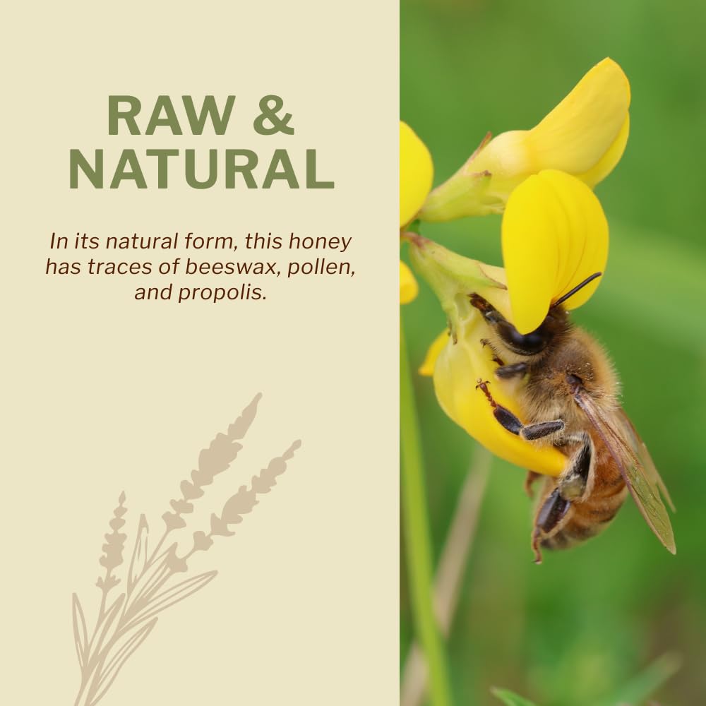 OneRoot nutrient-rich honey as a daily natural sweetener option.