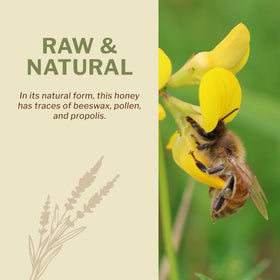 OneRoot nutrient-rich honey as a daily natural sweetener option.