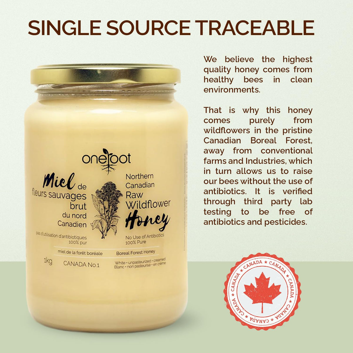 OneRoot nutrient-rich honey with visible golden glow and aroma.