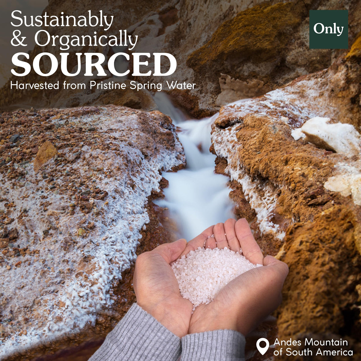 Only Ancient Spring Salt being sprinkled for a flavorful finishing touch on plates.