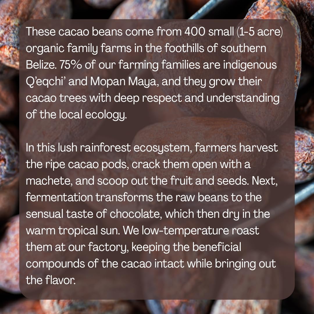 Ora Pure cacao texture close-up, highlighting nibs and energy-boosting snack