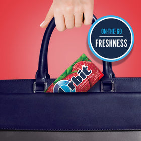 Travel case featuring Orbit Strawberry Sugarfree Gum for compact breath refresh