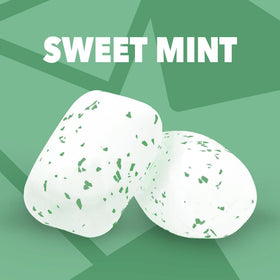 Orbit Sweet Mint gum bottle close-up emphasizing portable mint flavors.