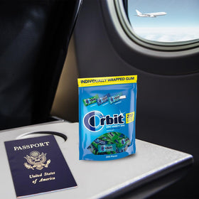Orbit Wintermint gum bag display conveys cool, refreshing breath options.