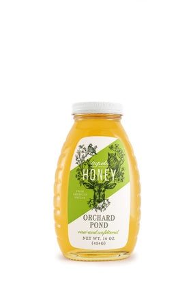 Orchard Pond Tupelo Honey rare harvest on a spoon, perfect for toast