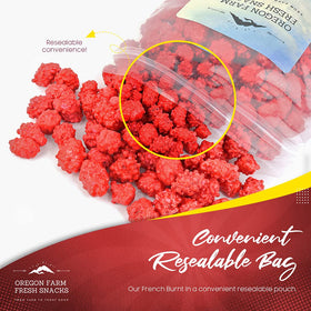 OREGON FARM FRESH SNACKS French Burnt Peanuts resealable bag keeping crunch fresh for gatherings