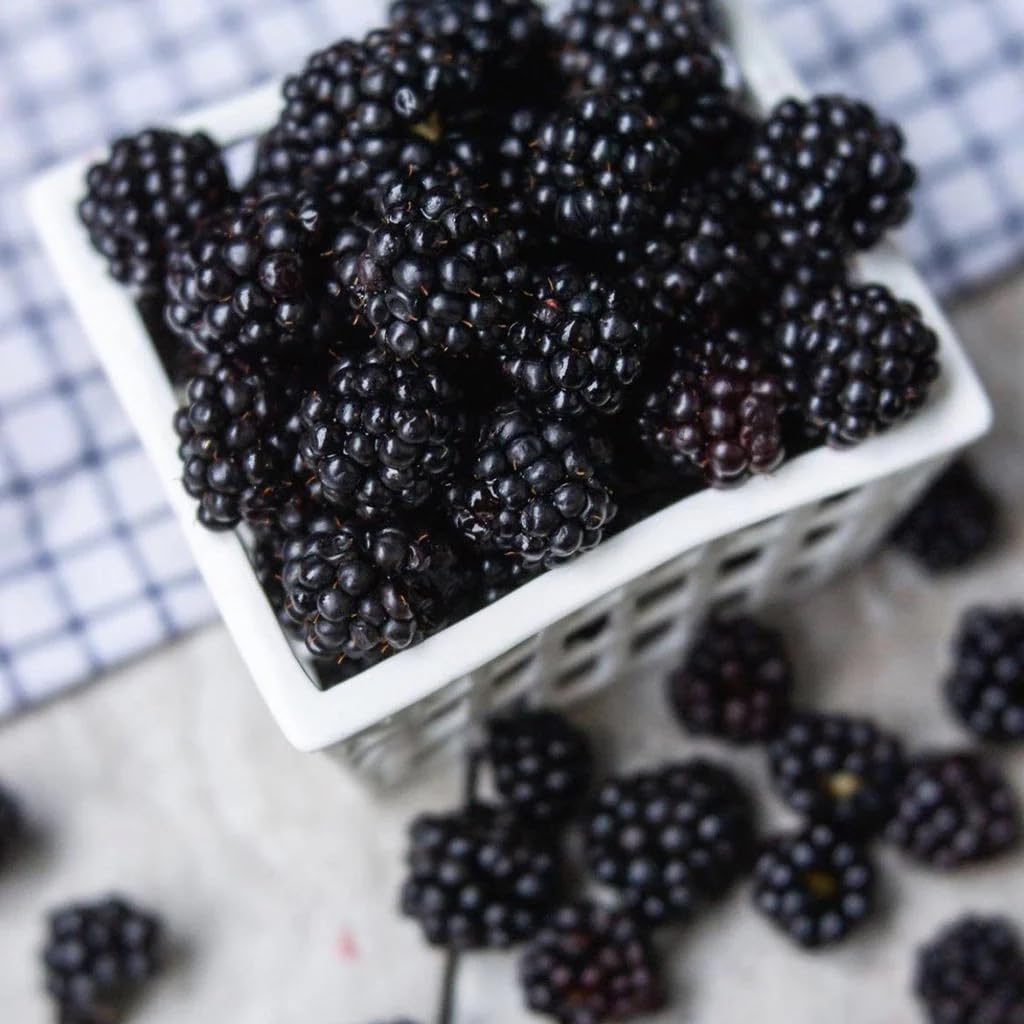The label close-up shows Oregon Growers Marionberry Syrup's premium Pacific Northwest sourcing