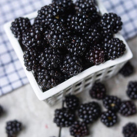 The label close-up shows Oregon Growers Marionberry Syrup's premium Pacific Northwest sourcing