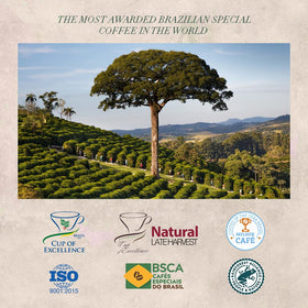 Orfeu sustainable plantation origin and ethical farming story