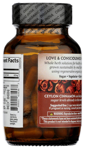 ORGANIC INDIA Ceylon Cinnamon farm sunset scene reflects regenerative sourcing and community impact