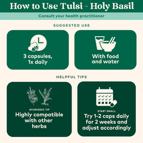 Brewed Organic India Tulsi Original tea in a mug with inviting aroma.