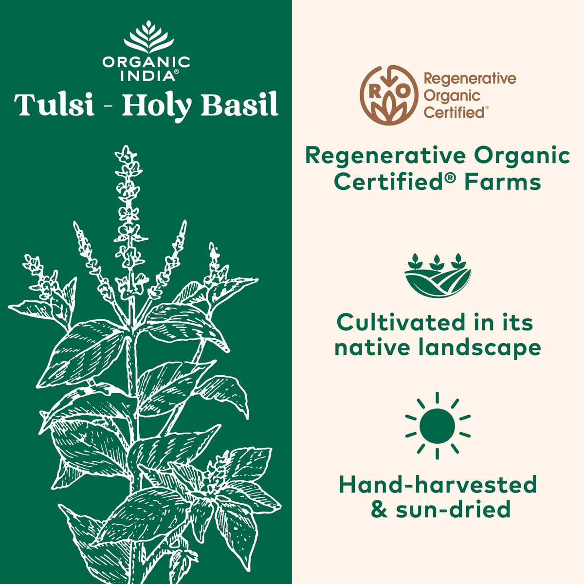 Packaging label of Organic India Tulsi Original with USDA Organic certification.