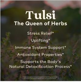 Close-up of chamomile in Organic India Tulsi Sleep Tea for soothing notes