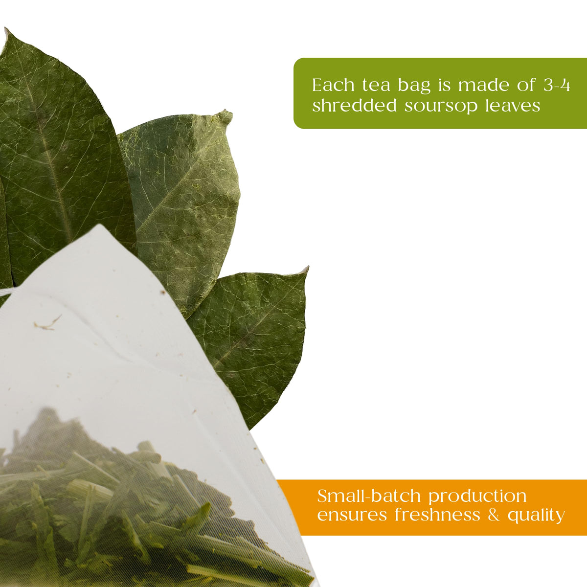 Organic Pharmacist dried soursop leaves imagery showcases authentic botanicals for a flavorful cup.