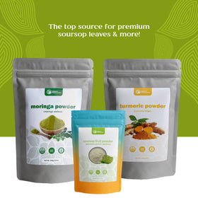 Organic Pharmacist soursop leaves harvest handpicked with care