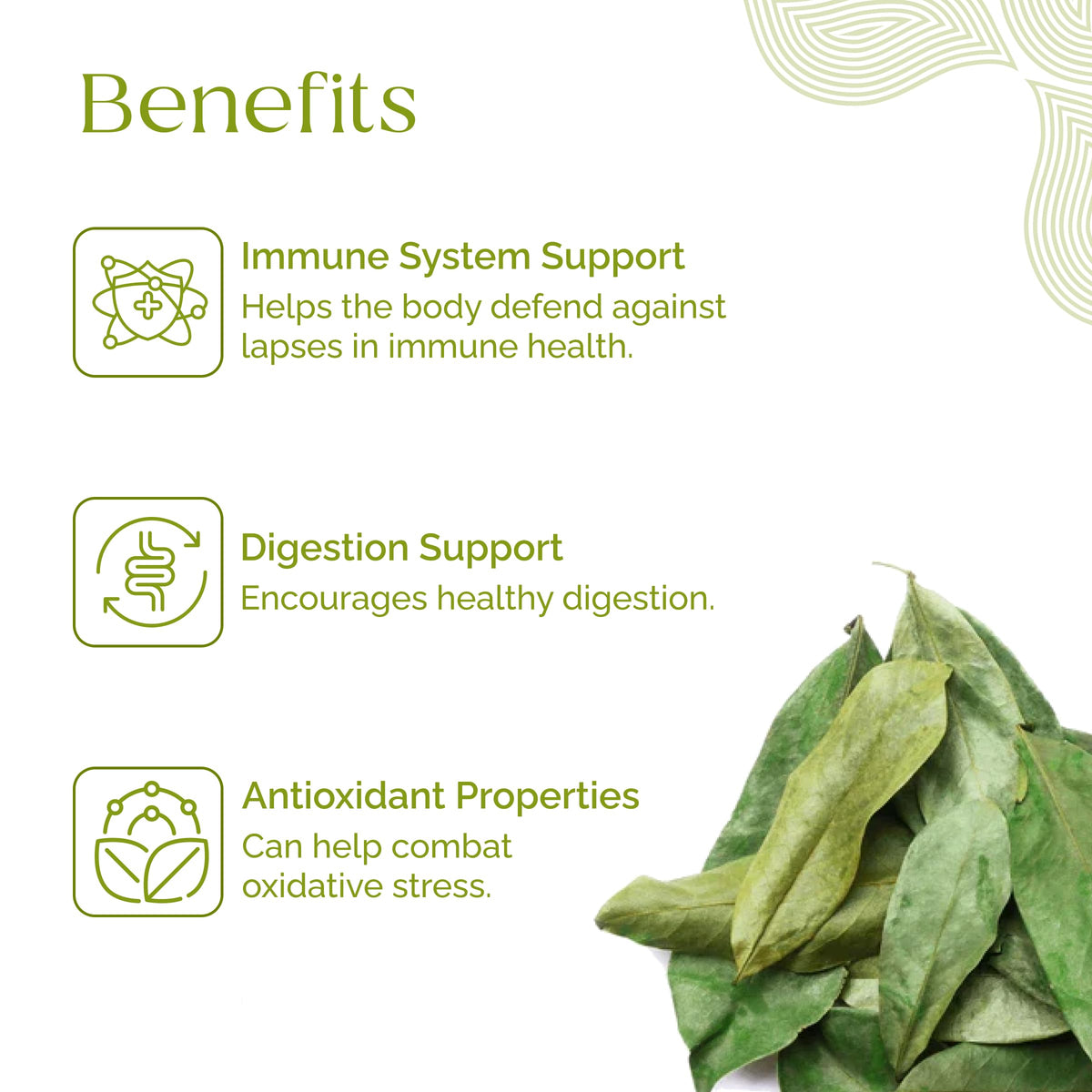 Organic Pharmacist soursop leaves tea brew ready to steep