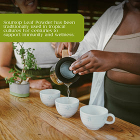 Organic Pharmacist soursop tea brew scene showing versatile use
