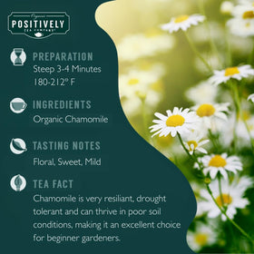 Organic Positively Chamomile tea dry leaves close-up for premium flavor.