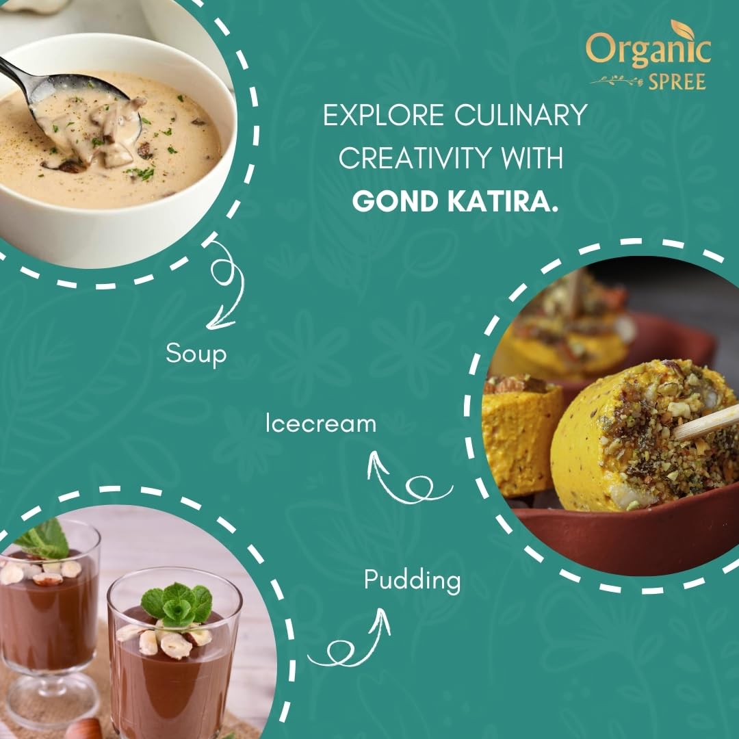 Pudding dessert preparation with Gond Katira shows gentle, creamy texture.