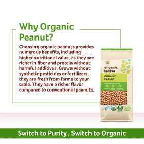 ORGANIC TATTVA groundnuts on a pantry shelf, everyday staple.