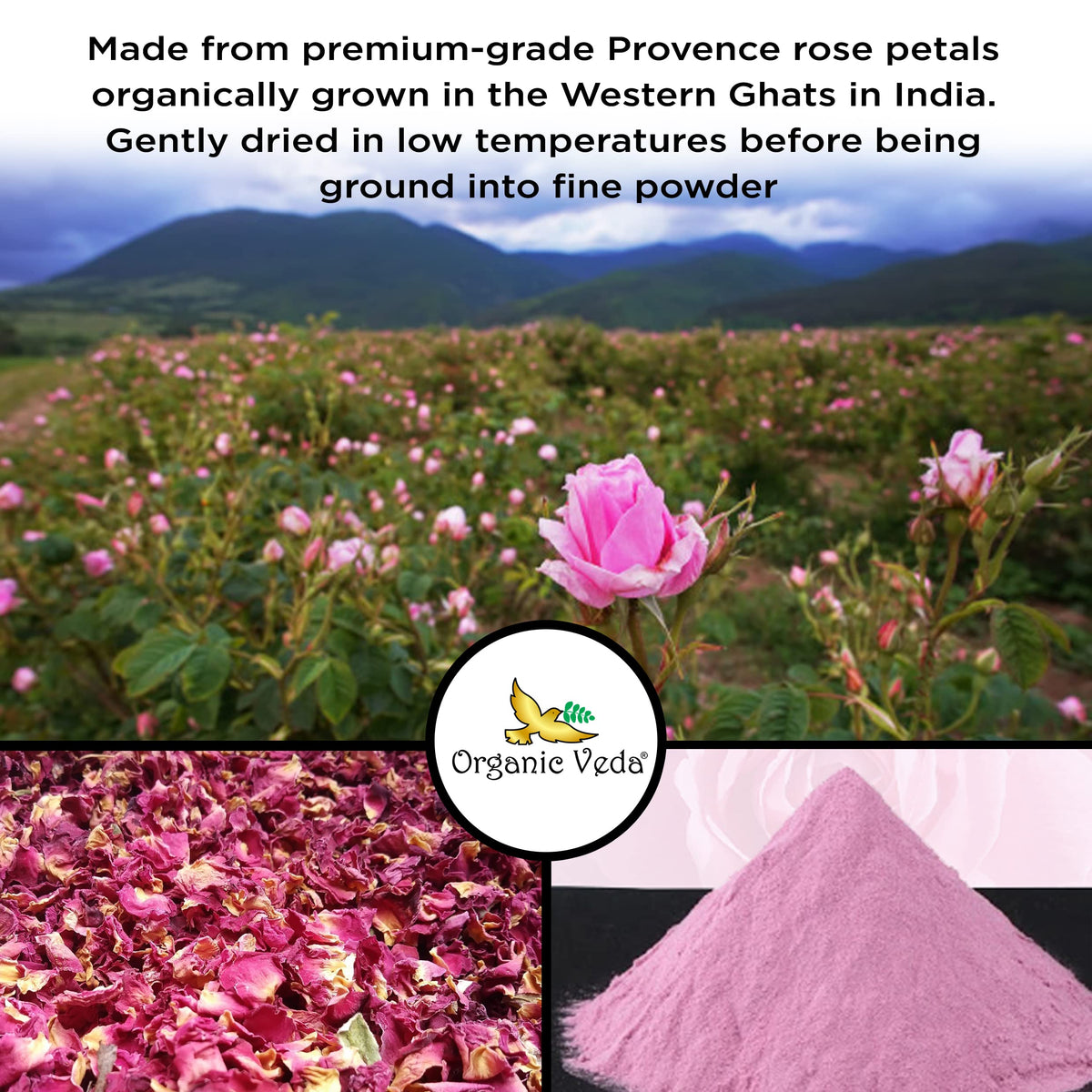 Organic Veda rose petal powder in a glass bottle preserving freshness