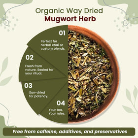 Raw mugwort from Albania highlighting natural leaf structure for infusions.