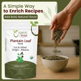 Organic Way plantain leaf tea in hot water cup demonstrating infusion