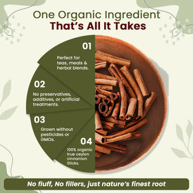 Organic Way True Ceylon Cinnamon Sticks stored neatly in a pantry jar.